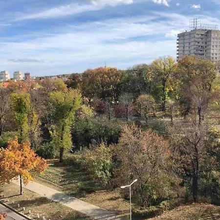 Budget In Center Near Ndk